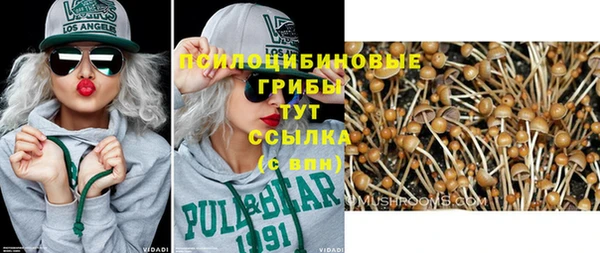 spice Козловка