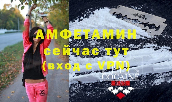 крисы Жердевка