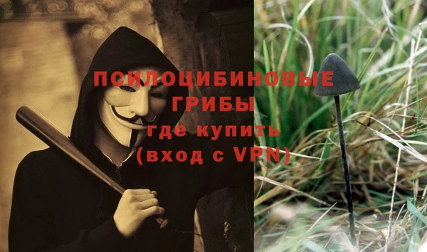 индика Карпинск