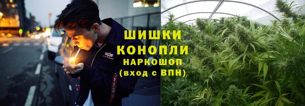 spice Козловка