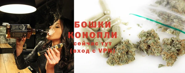 индика Карпинск