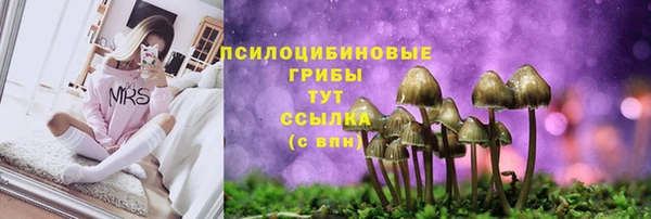 ALPHA-PVP Козельск