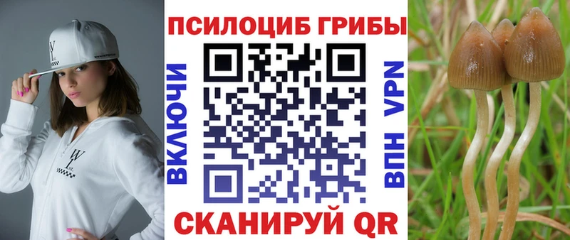 hydra   Коммунар  Псилоцибиновые грибы мицелий 