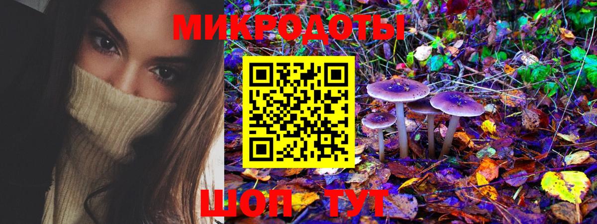 Псилоцибиновые грибы Cubensis Коммунар