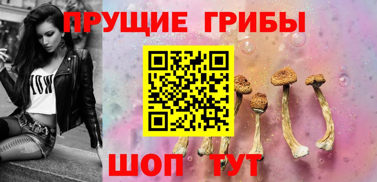 дарнет шоп  Вход с VPN  Коммунар  Галлюциногенные грибы мухоморы 